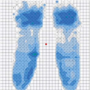 anthros-chair-map.jpg